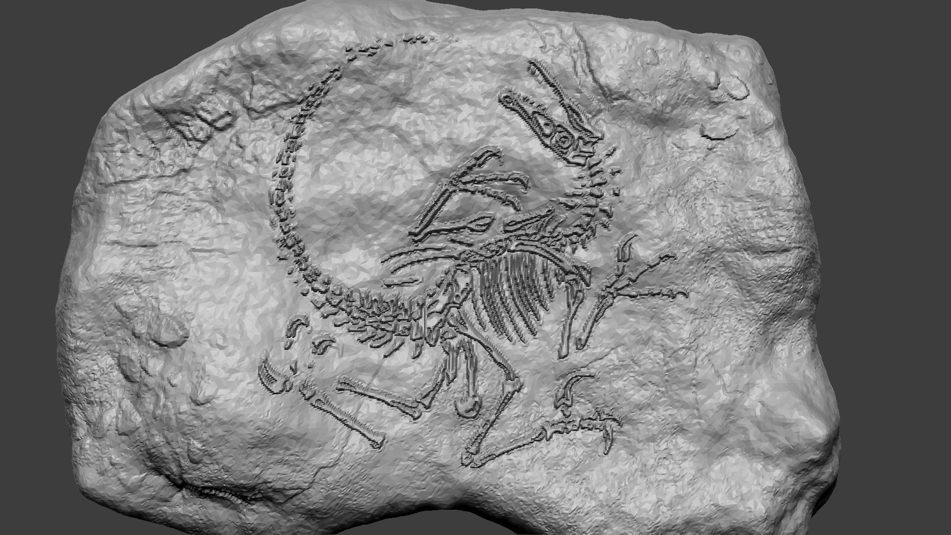 10 Mineral Fossiles Collection - Realistic Printable Resin _20