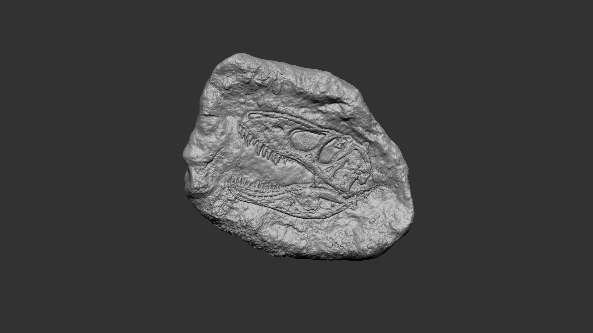 10 Mineral Fossiles Collection - Realistic Printable Resin _3