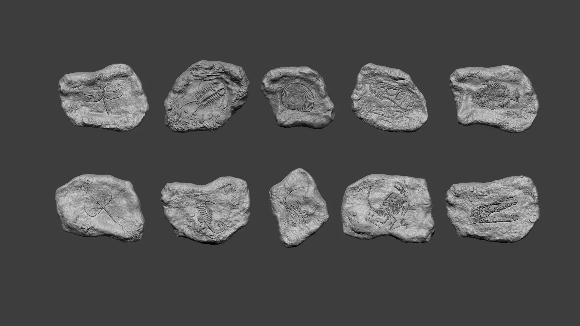 10 Mineral Fossiles Collection - Realistic Printable Resin _0