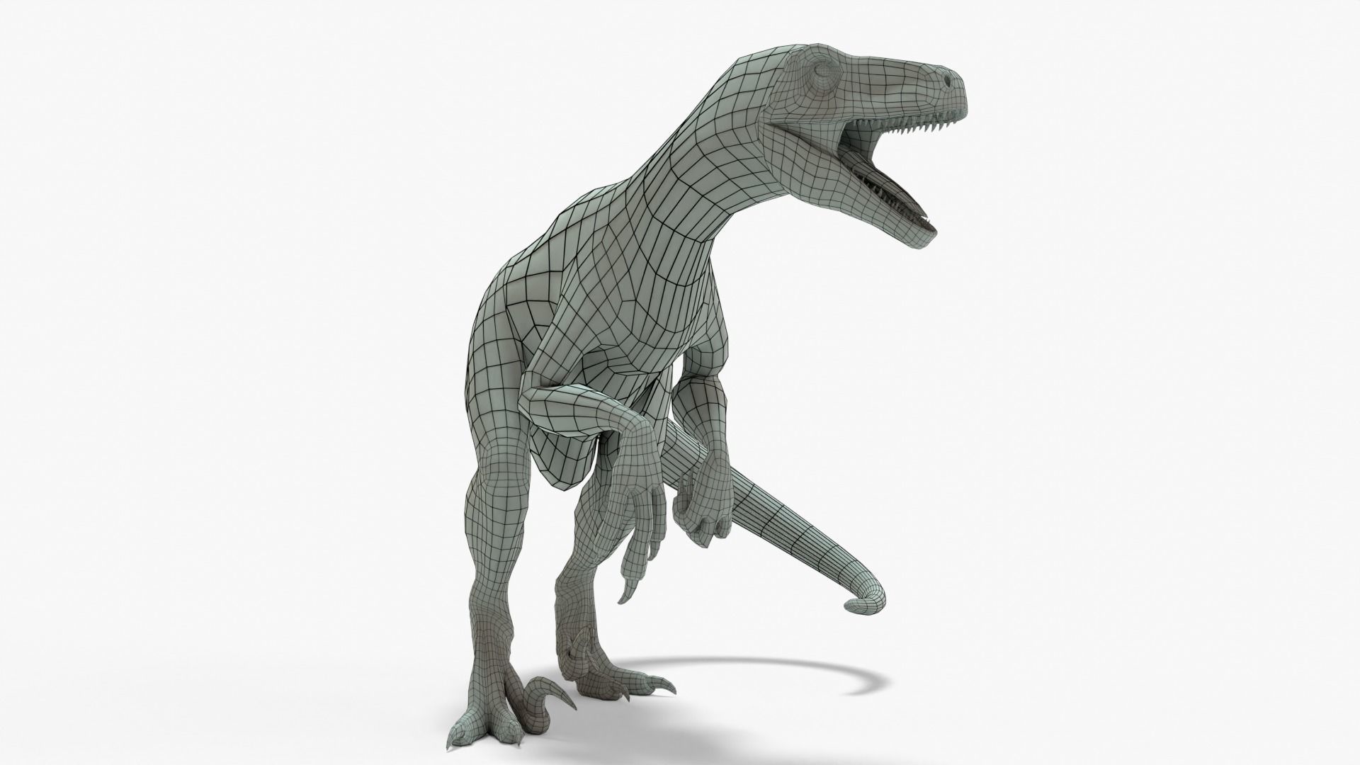 Atrociraptor Rigged Basemesh Low-poly 3D model_9