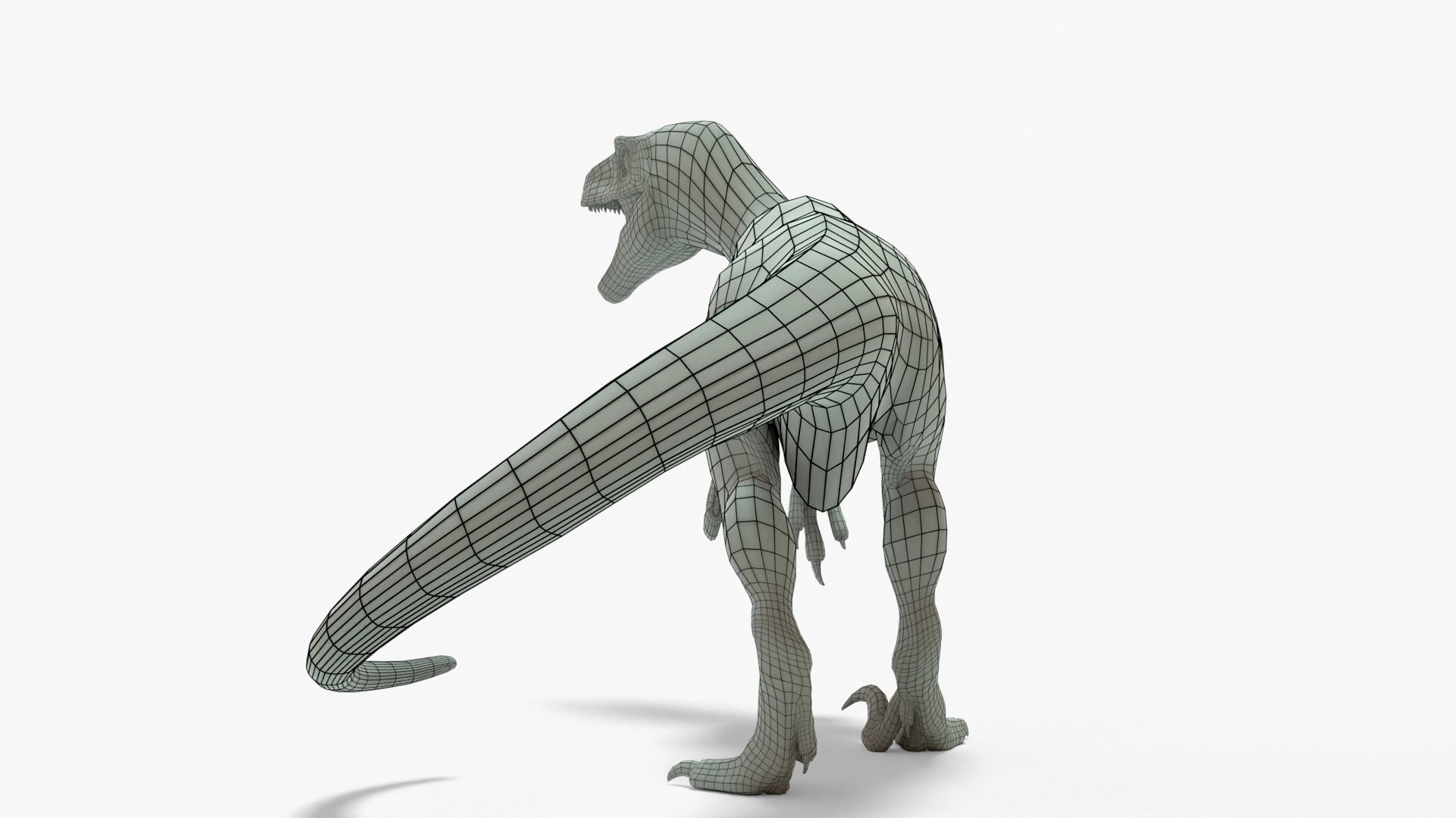 Atrociraptor Rigged Basemesh Low-poly 3D model_5