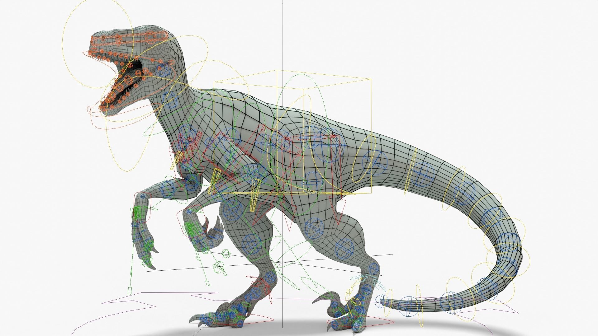 Atrociraptor Rigged Basemesh Low-poly 3D model_14
