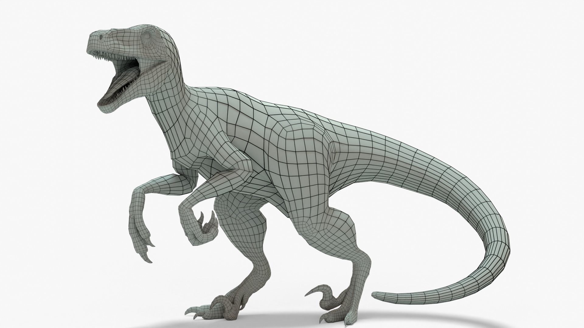 Atrociraptor Rigged Basemesh Low-poly 3D model_1