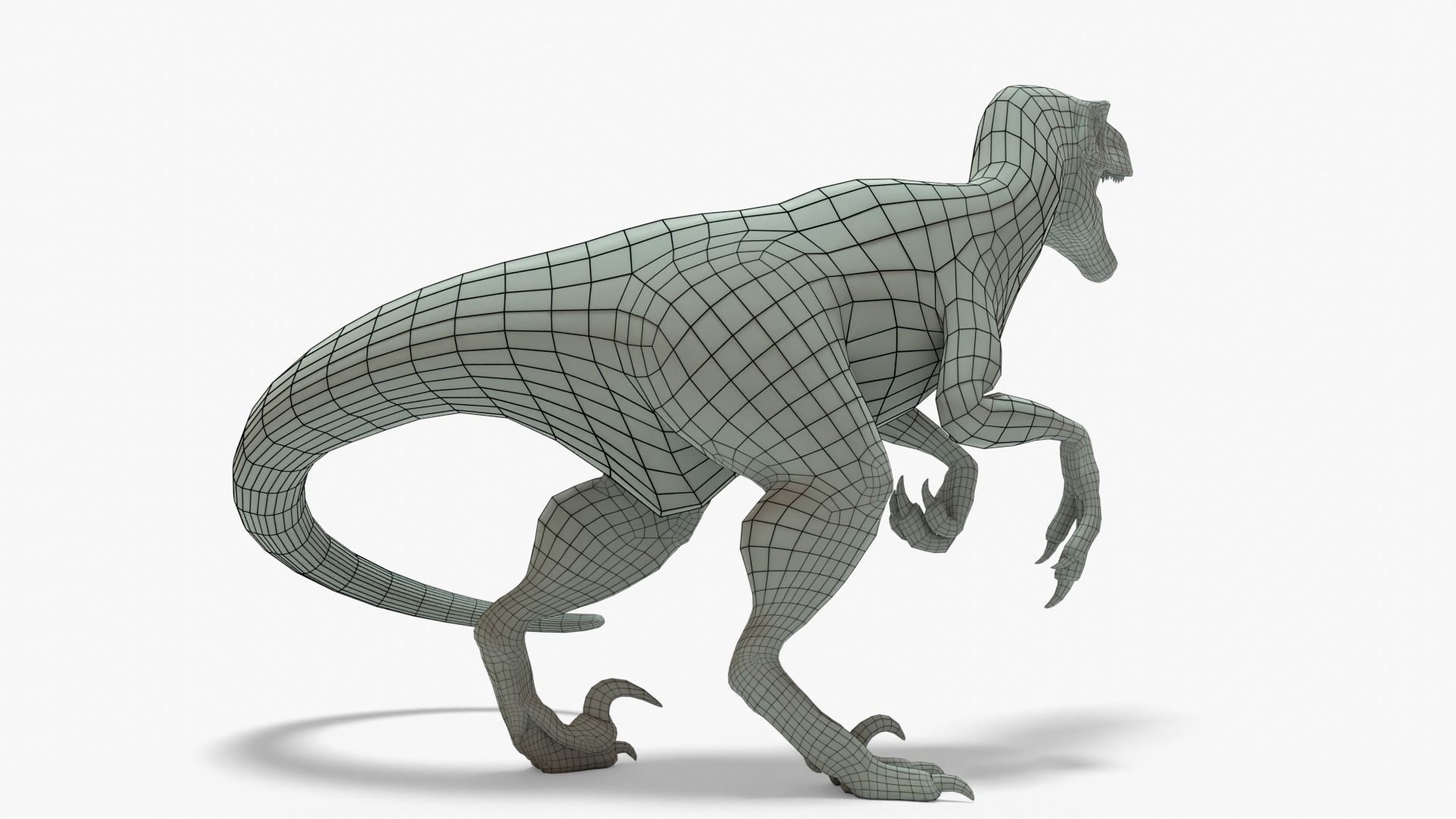 Atrociraptor Rigged Basemesh Low-poly 3D model_7