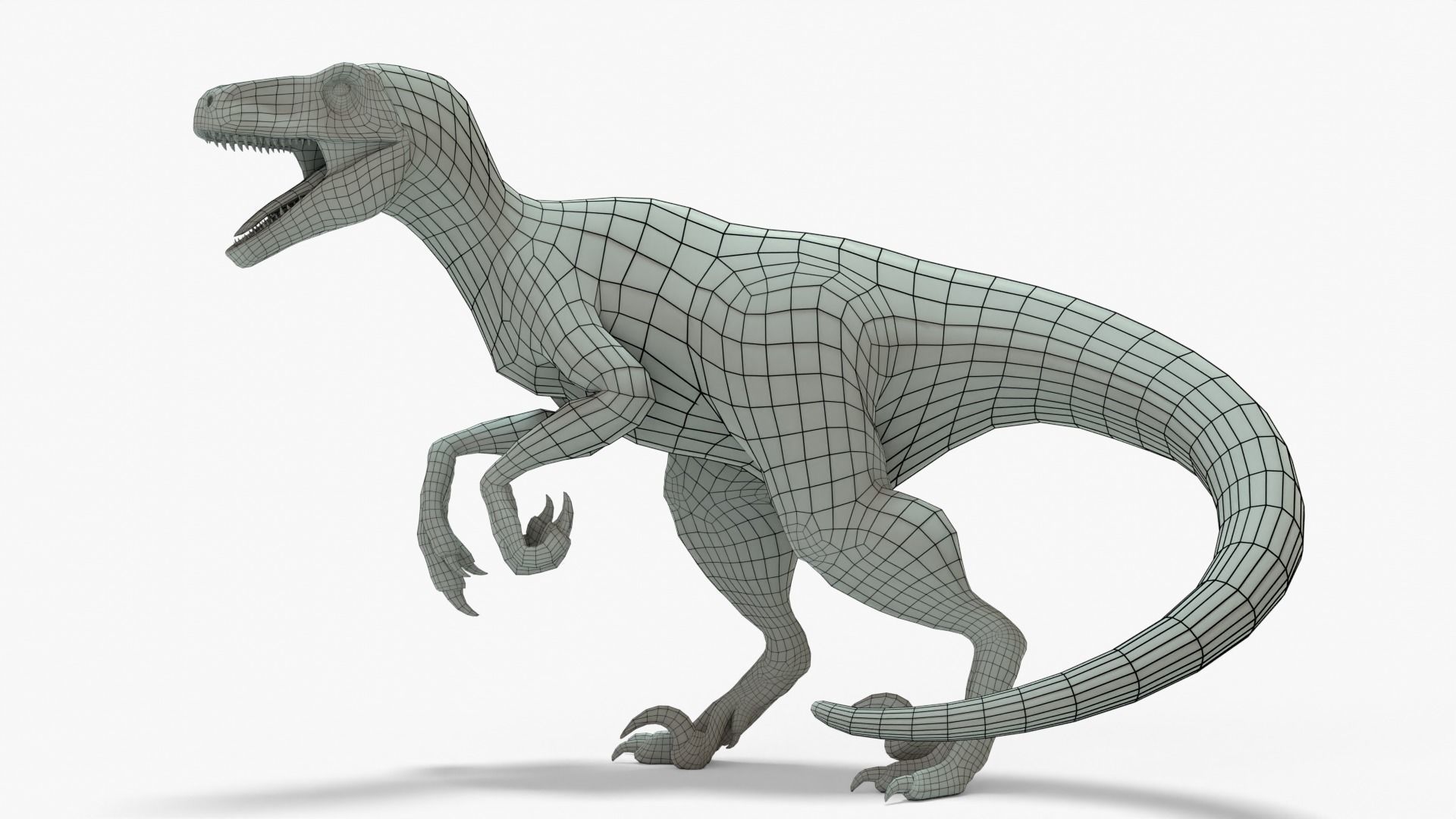 Atrociraptor Rigged Basemesh Low-poly 3D model_3