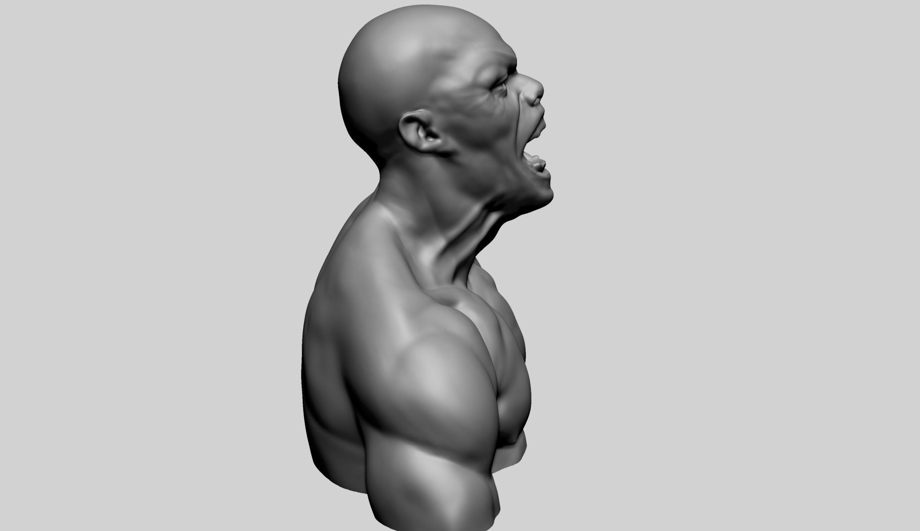 Male Upper Body B 3D model_3