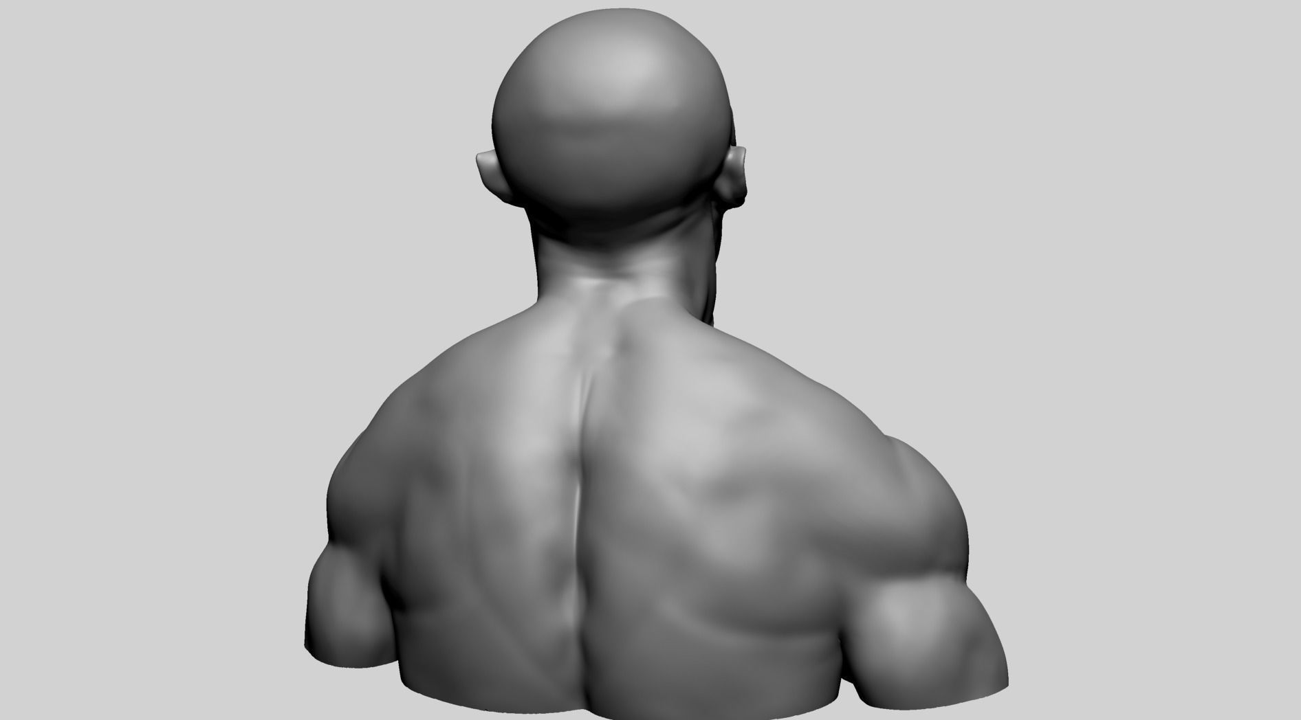 Male Upper Body B 3D model_4