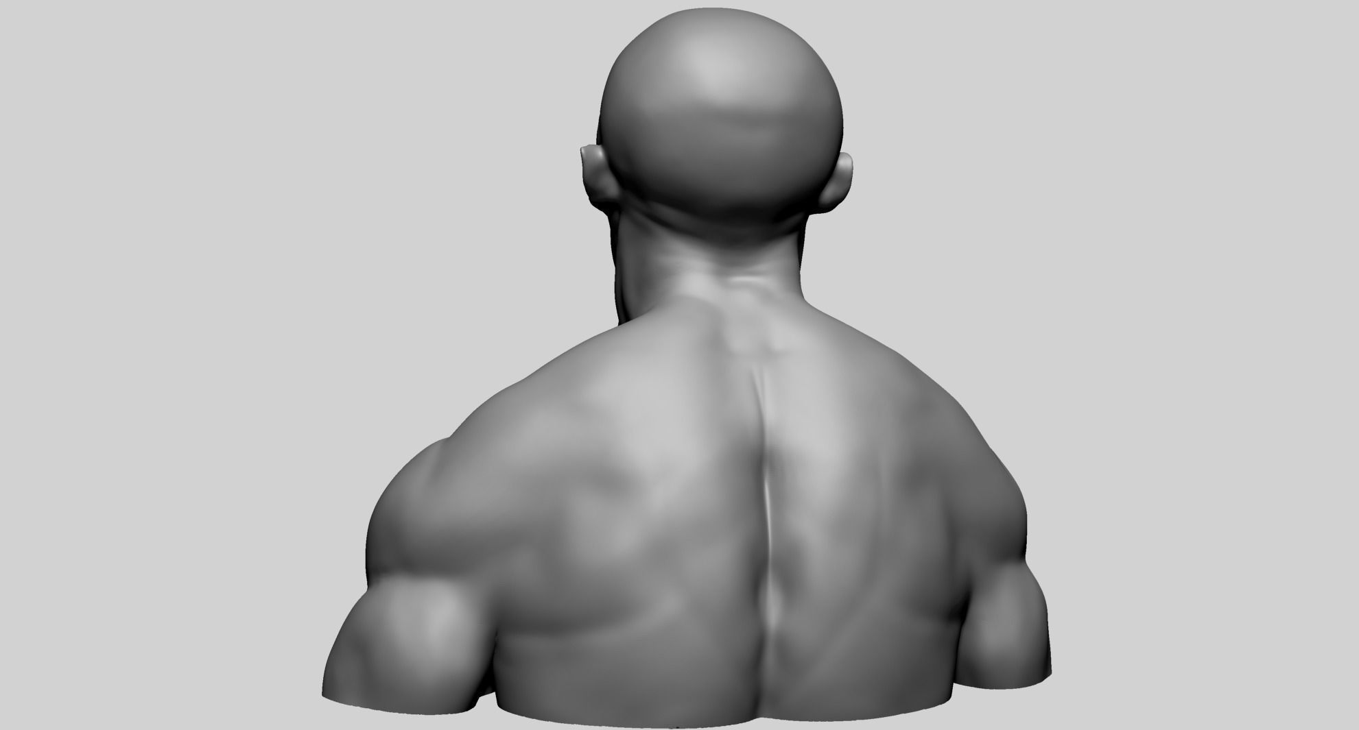 Male Upper Body B 3D model_5