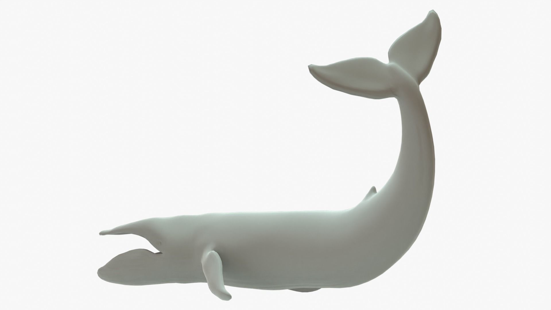 Blue Whale Rigged Basemesh Low-poly 3D model_4