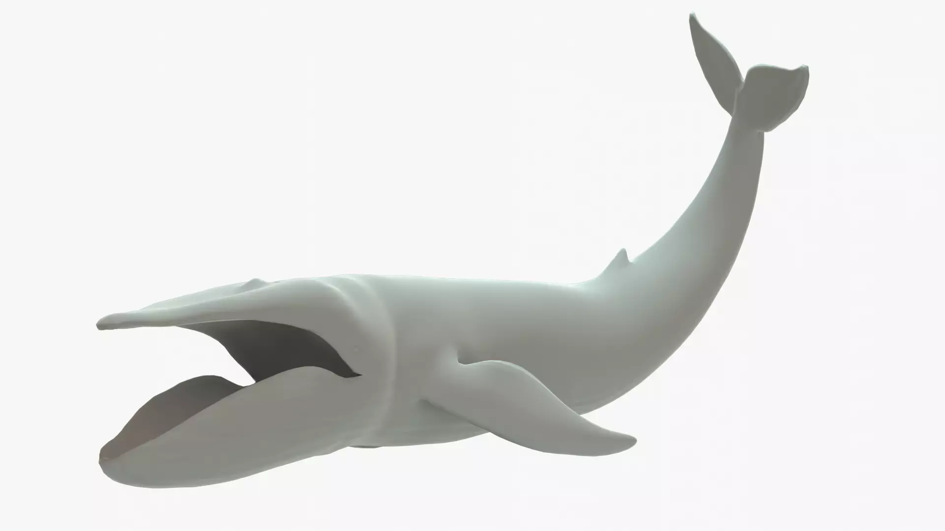 Blue Whale Rigged Basemesh Low-poly 3D model_0