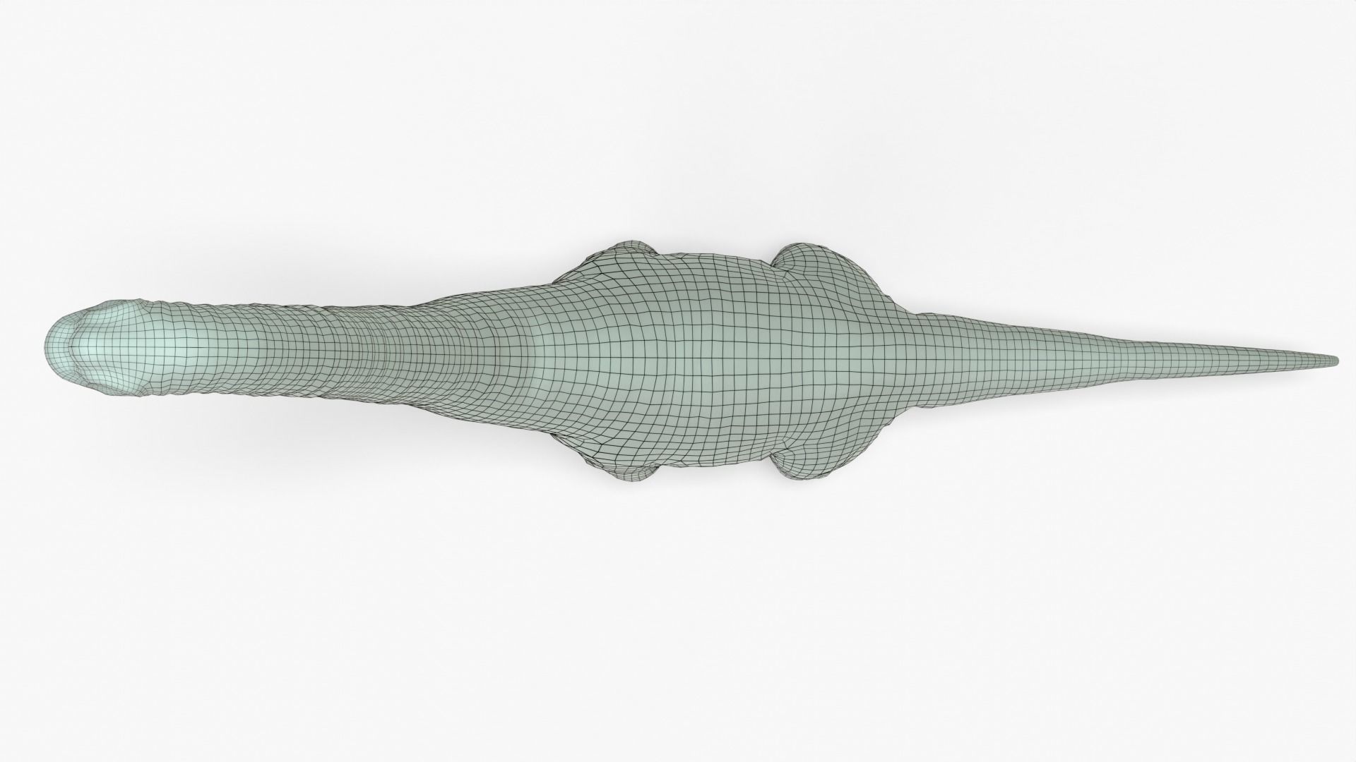 Brachiosaurus Rigged Basemesh Low-poly 3D model_14