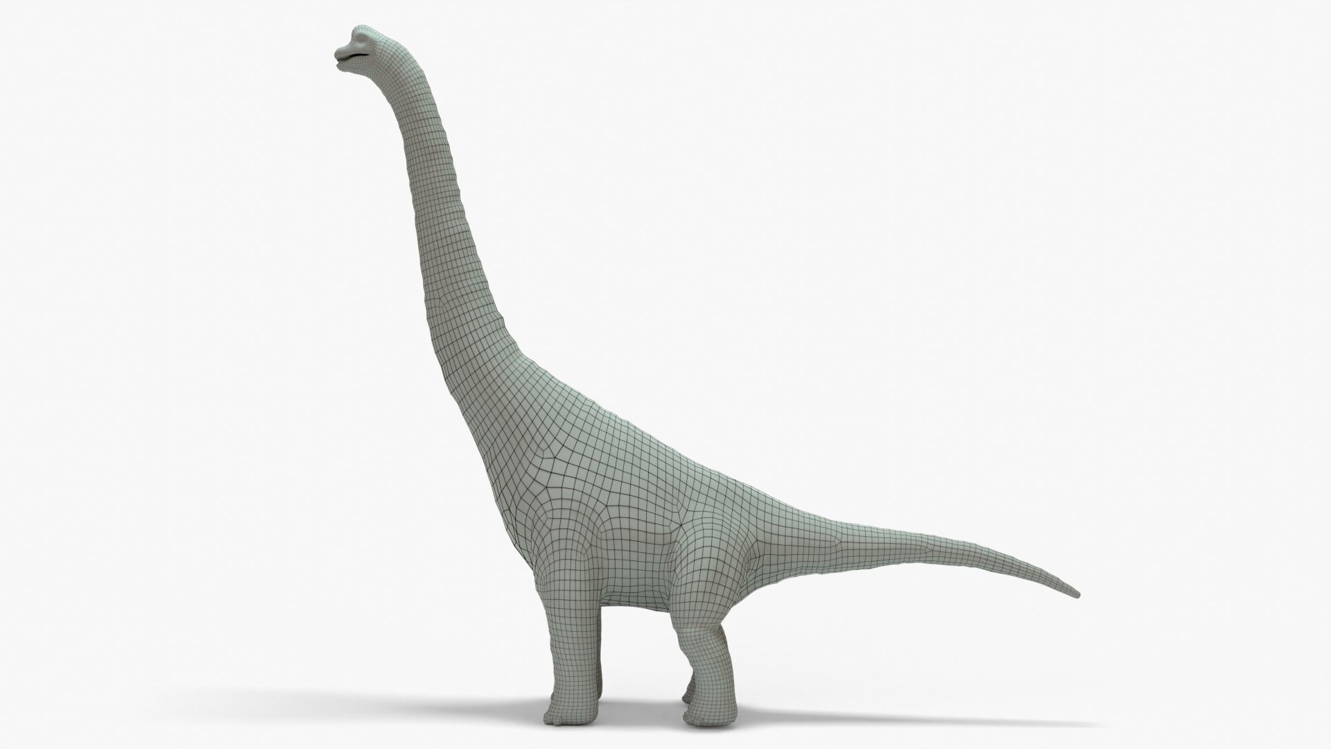 Brachiosaurus Rigged Basemesh Low-poly 3D model_13