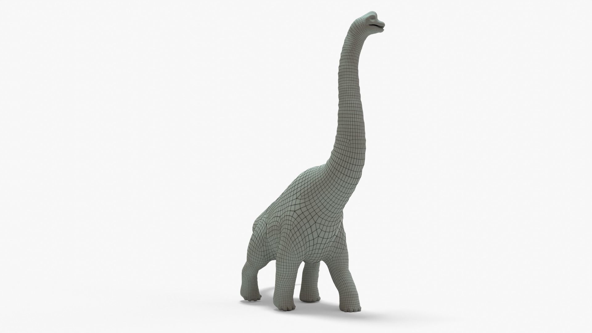 Brachiosaurus Rigged Basemesh Low-poly 3D model_9