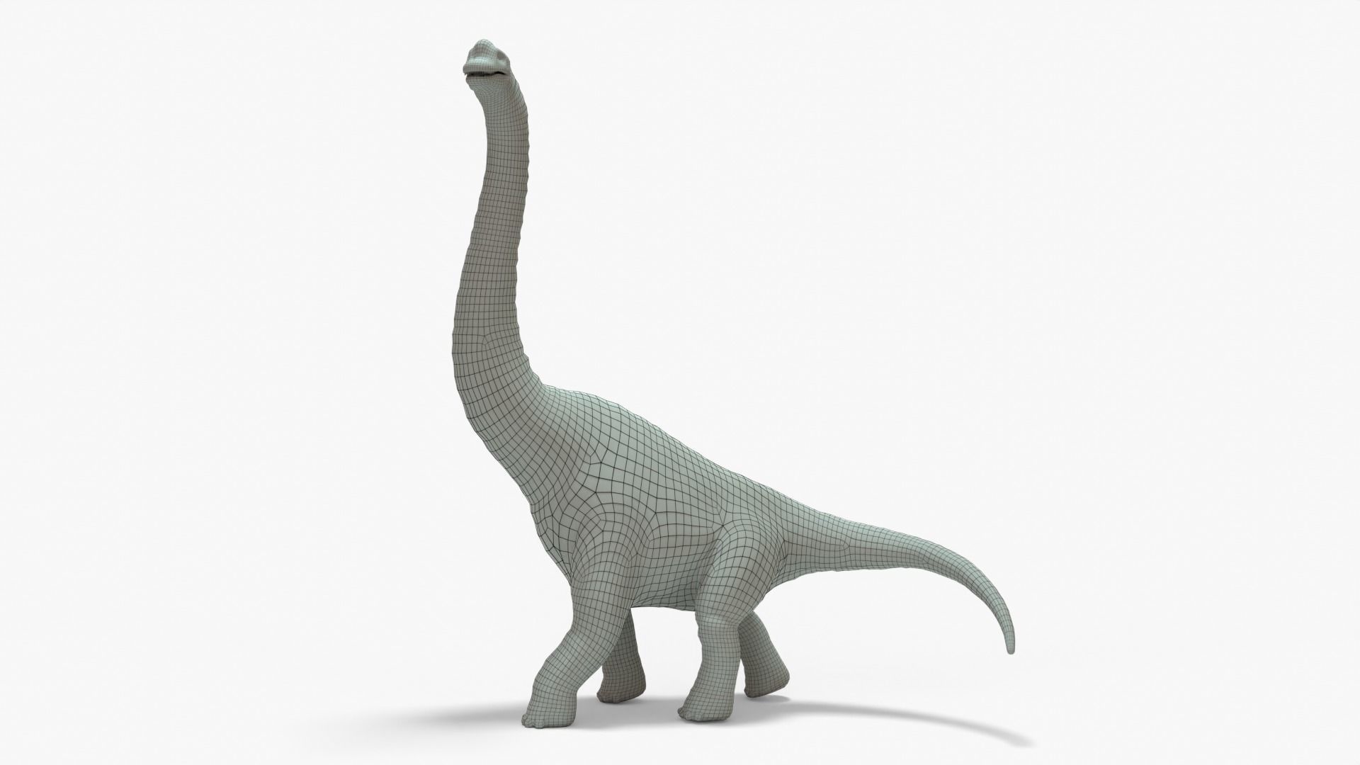 Brachiosaurus Rigged Basemesh Low-poly 3D model_3