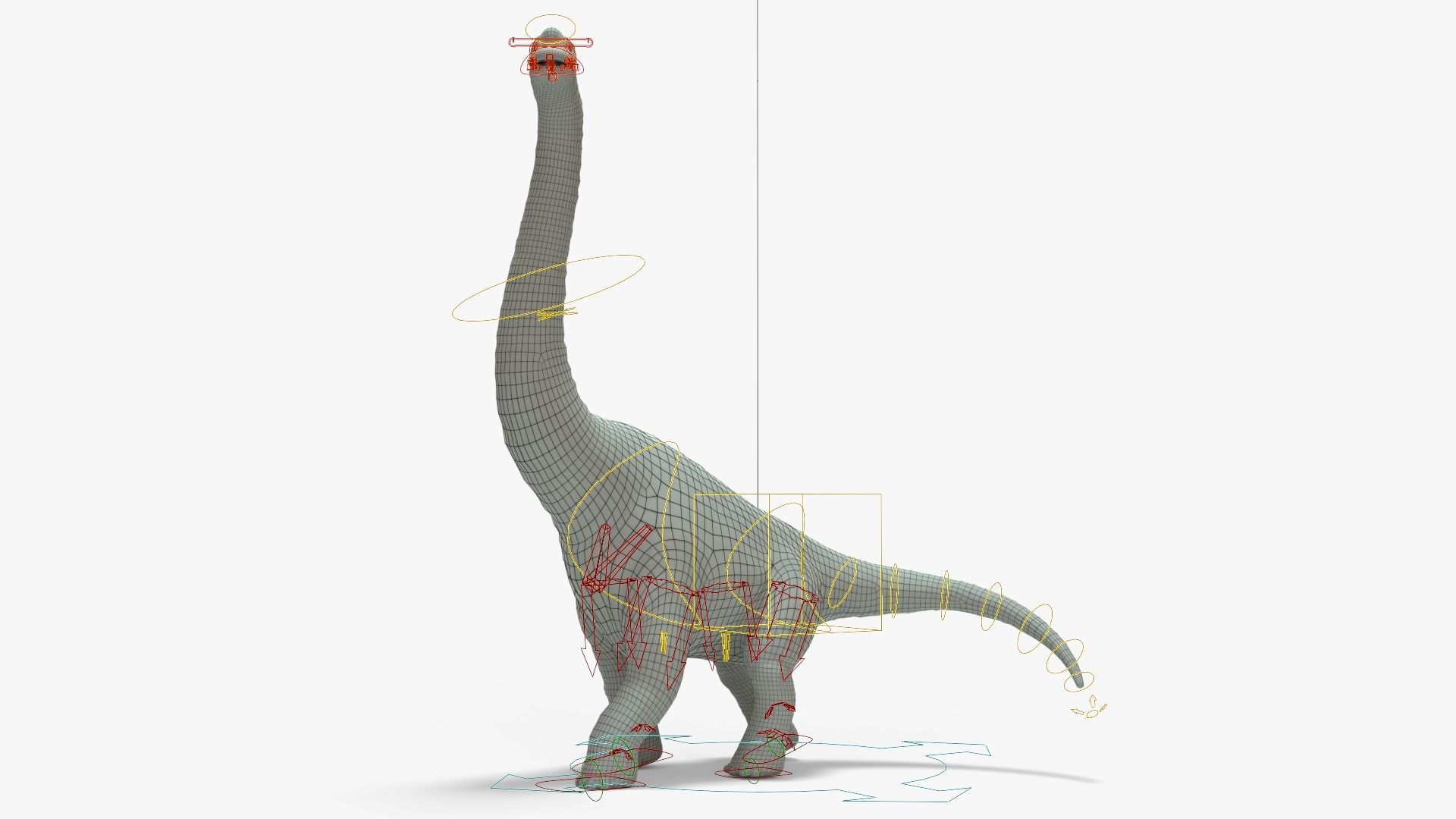 Brachiosaurus Rigged Basemesh Low-poly 3D model_16