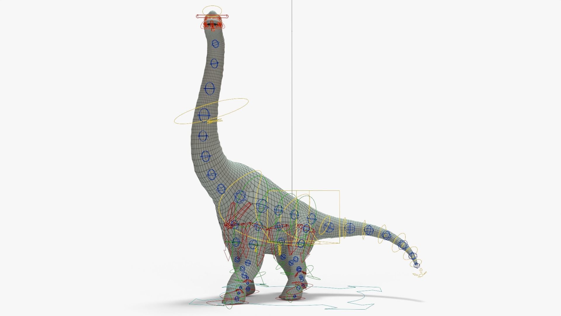 Brachiosaurus Rigged Basemesh Low-poly 3D model_15
