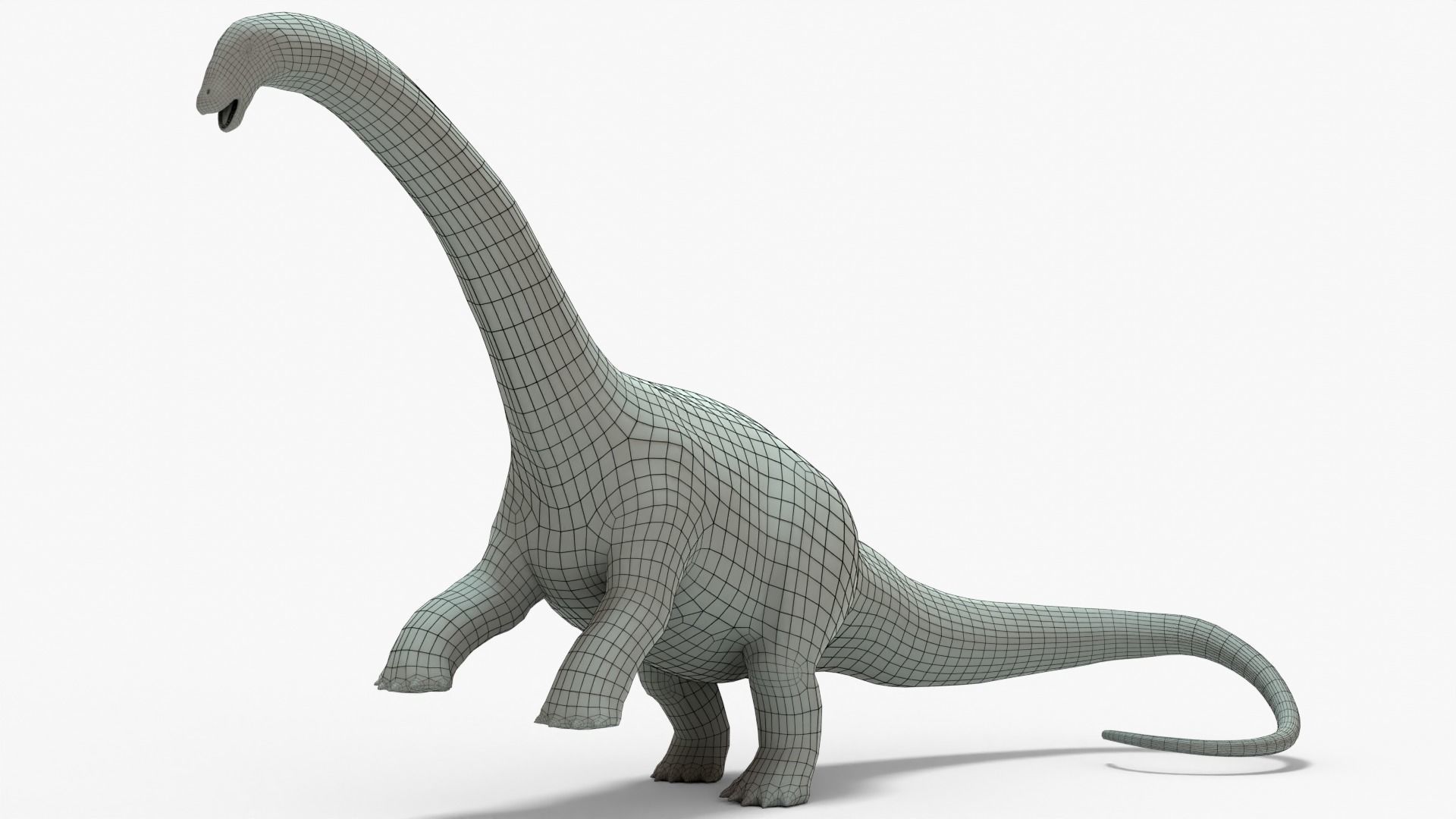Brontosaurus Rigged Basemesh Low-poly 3D model_1