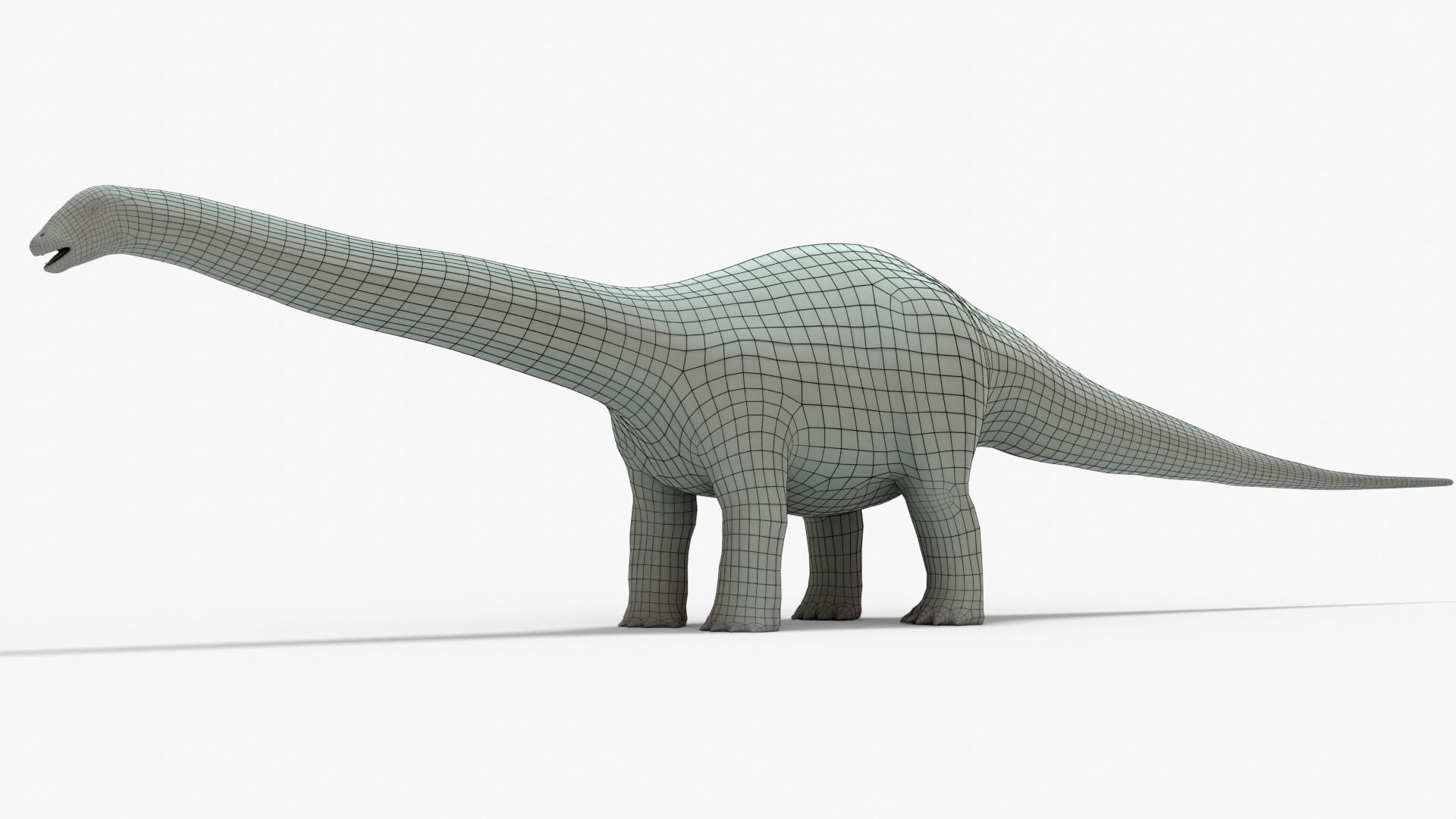 Brontosaurus Rigged Basemesh Low-poly 3D model_15