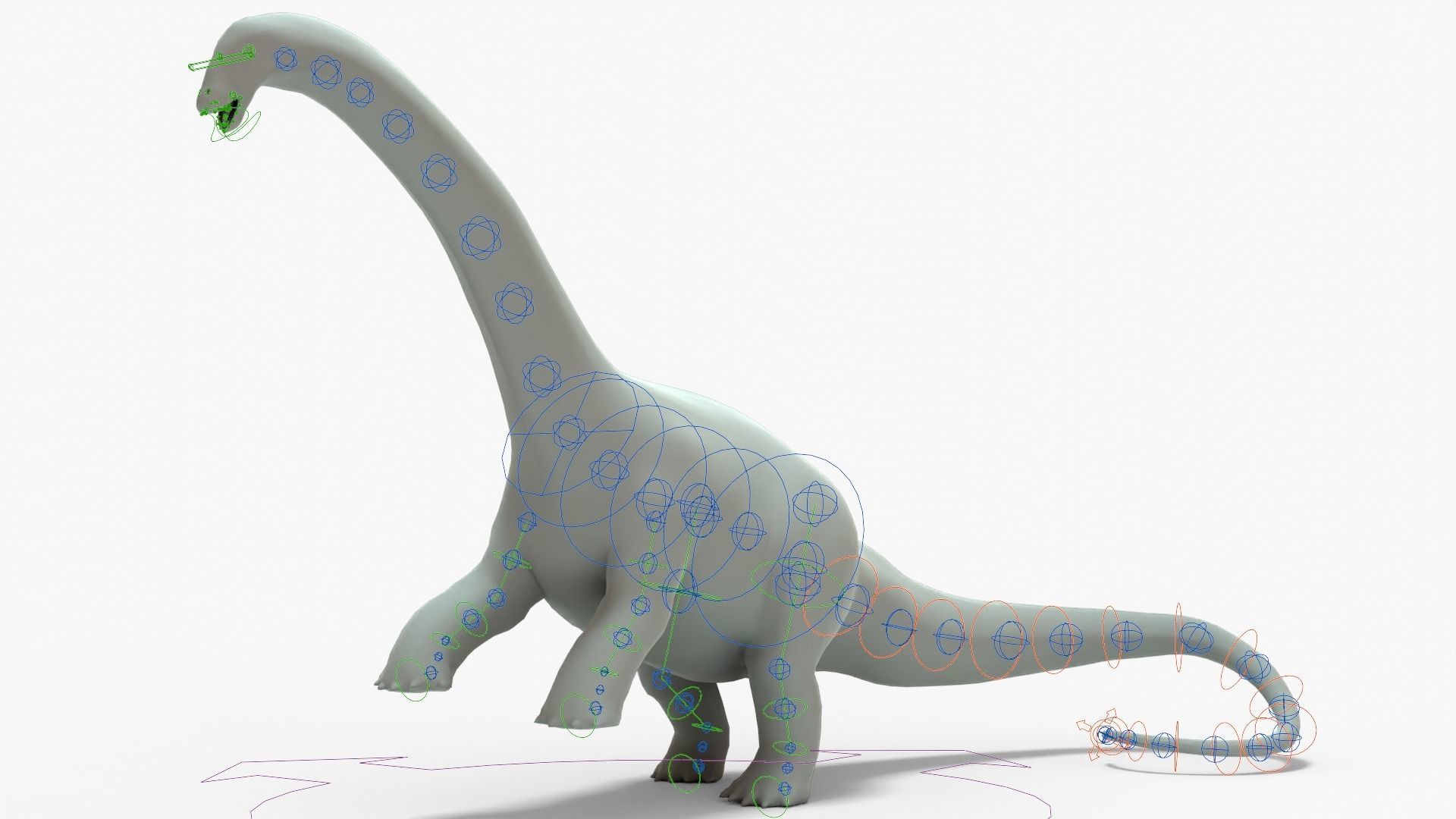 Brontosaurus Rigged Basemesh Low-poly 3D model_18