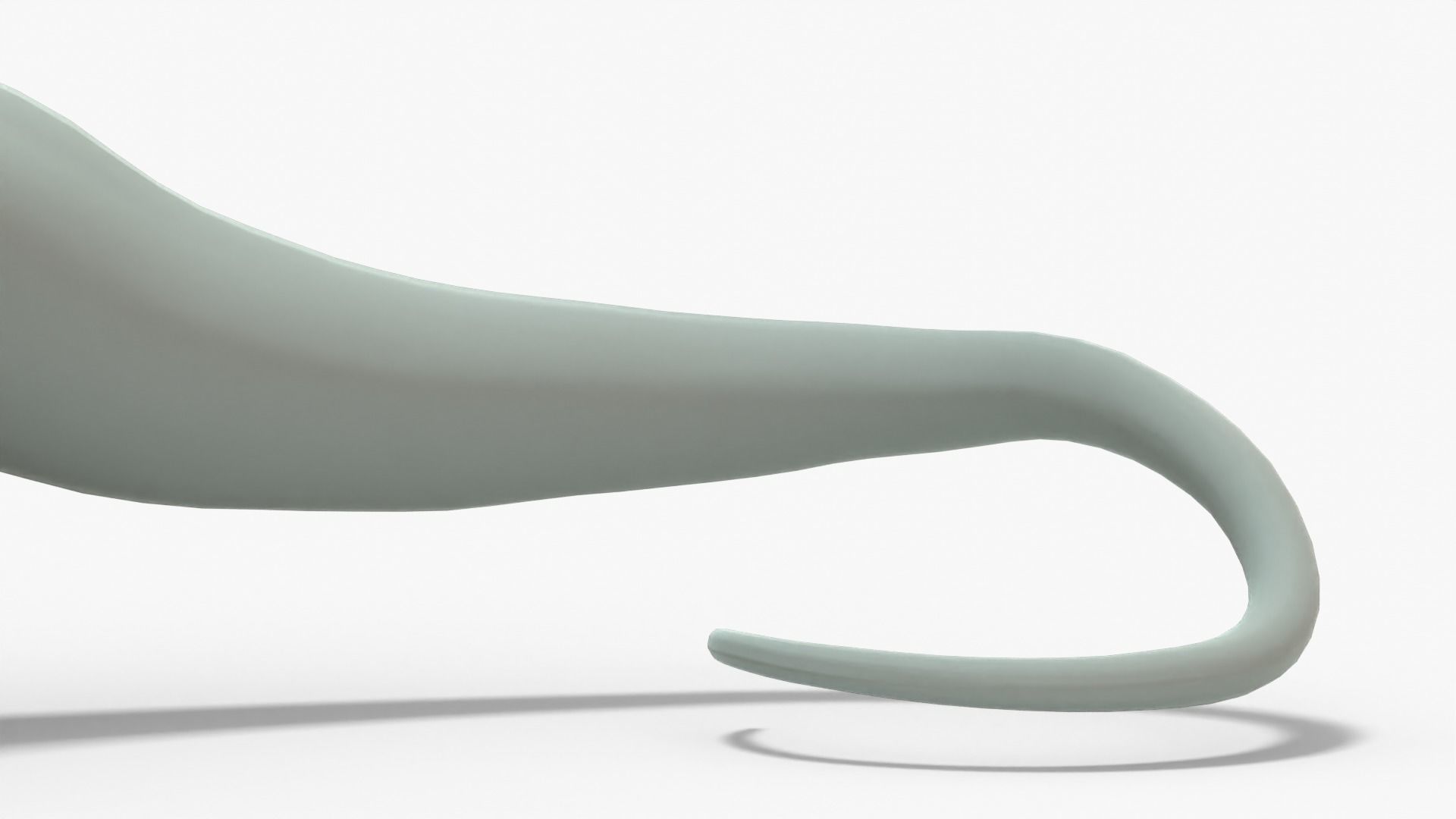 Brontosaurus Rigged Basemesh Low-poly 3D model_10