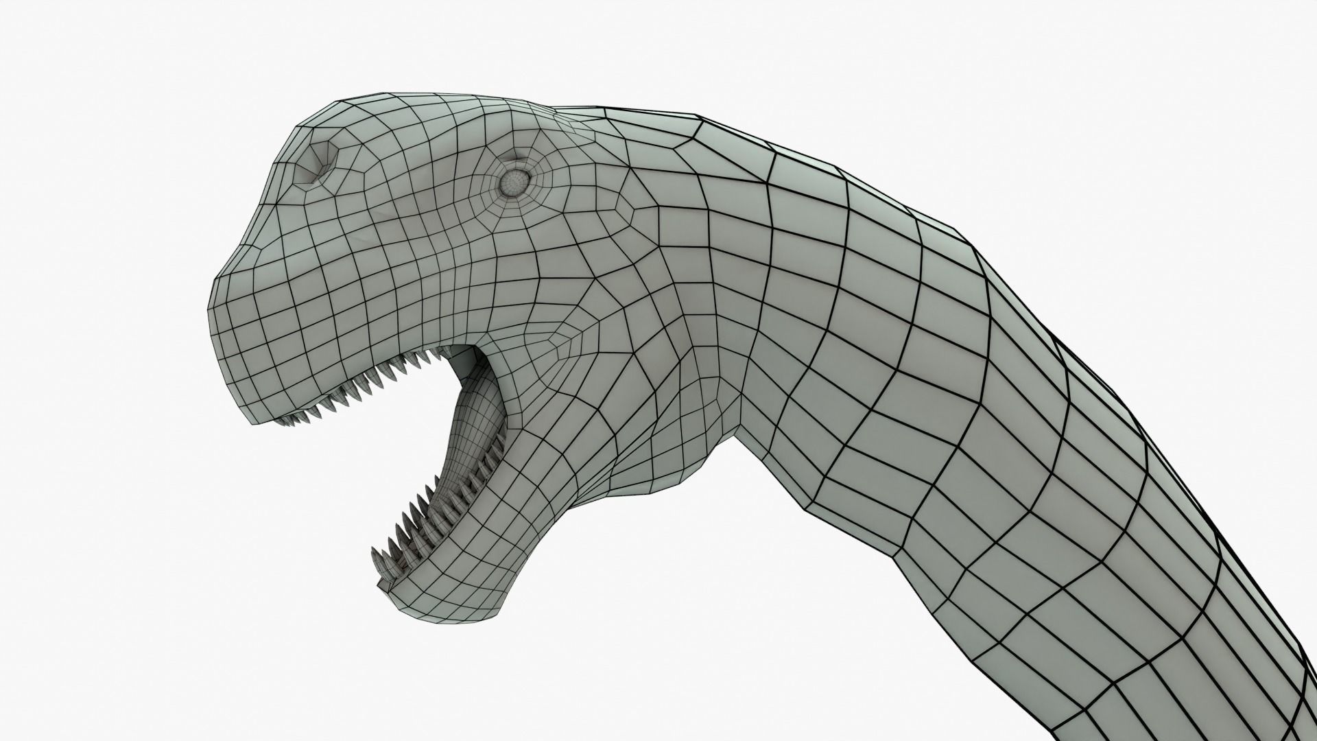 Camarasaurus Rigged Basemesh Low-poly 3D model_13