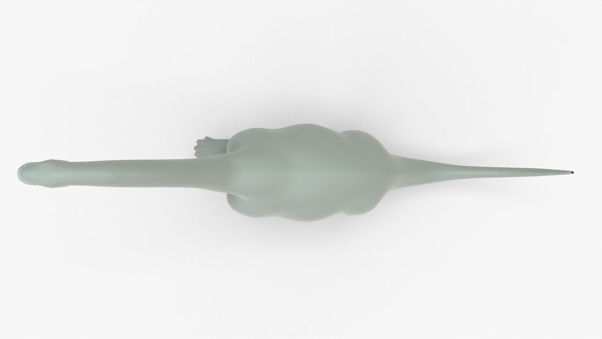 Camarasaurus Rigged Basemesh Low-poly 3D model_10