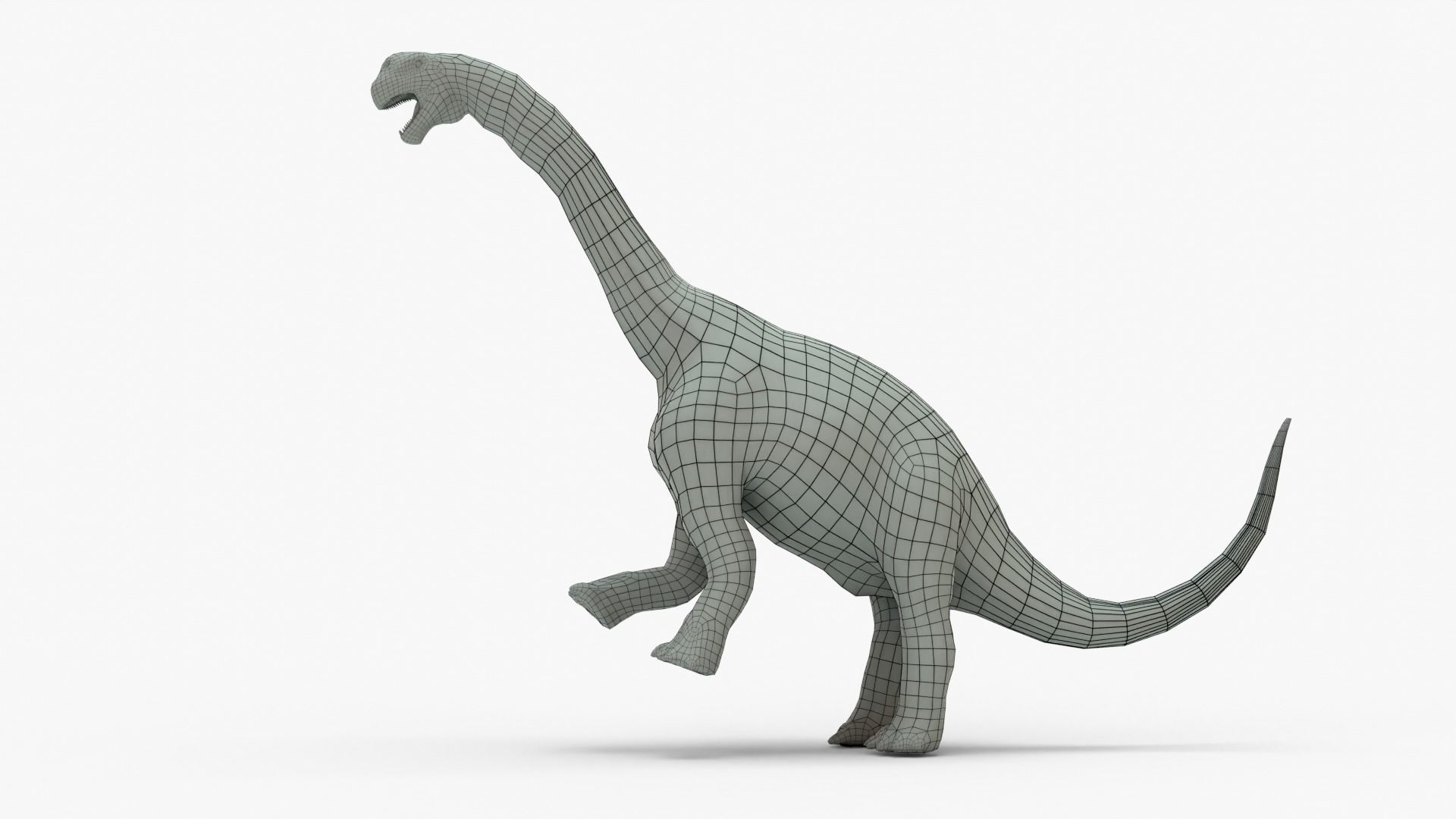 Camarasaurus Rigged Basemesh Low-poly 3D model_3