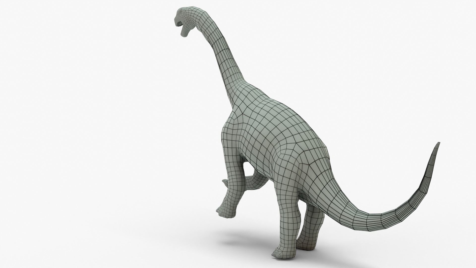 Camarasaurus Rigged Basemesh Low-poly 3D model_7