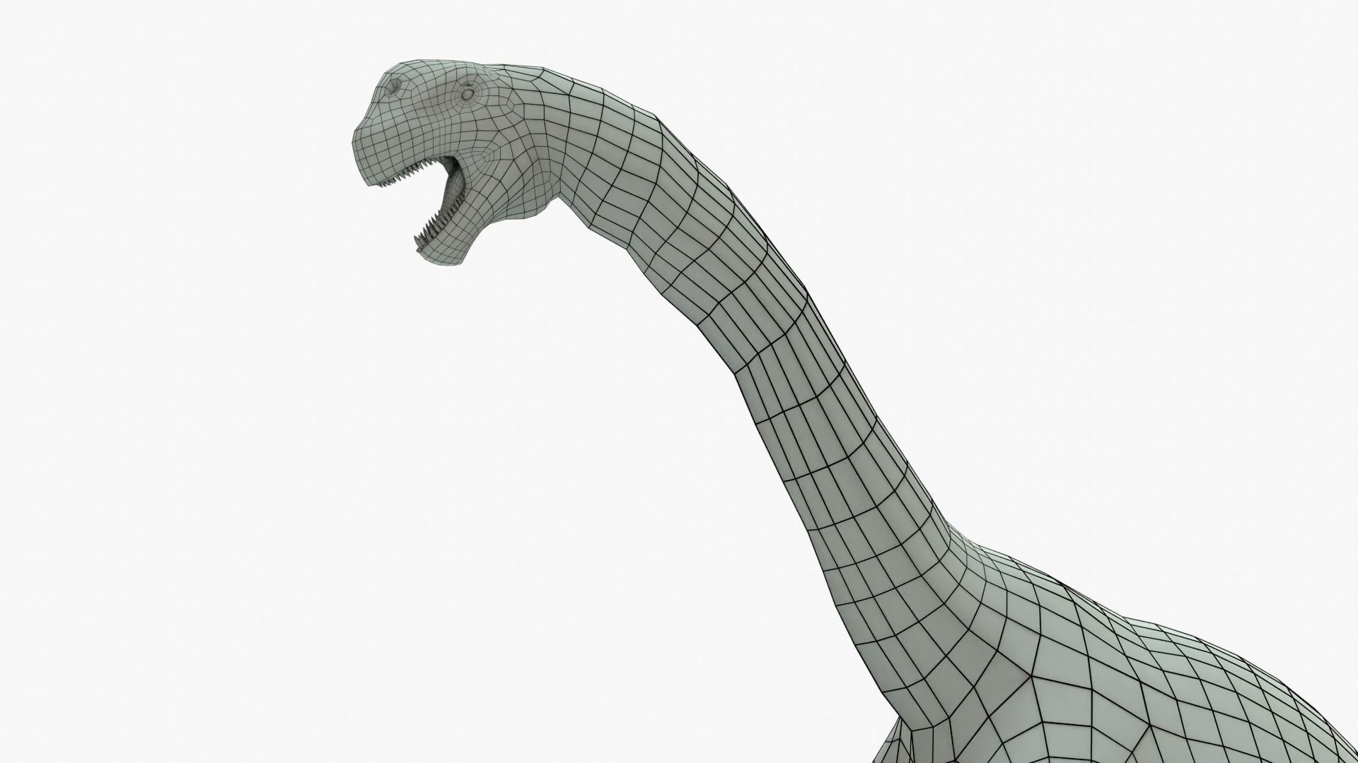 Camarasaurus Rigged Basemesh Low-poly 3D model_5