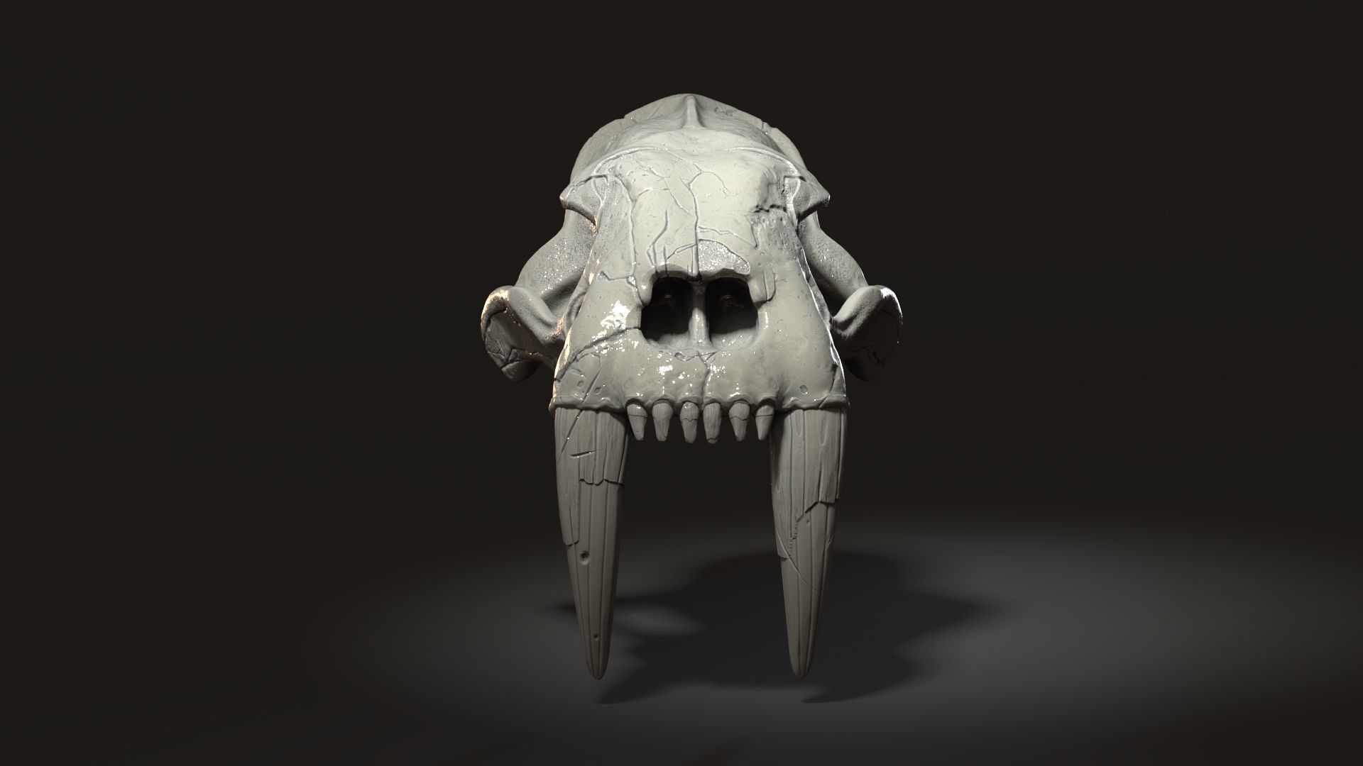 3d Print Skull Sabertooth Cat 3D print model_2