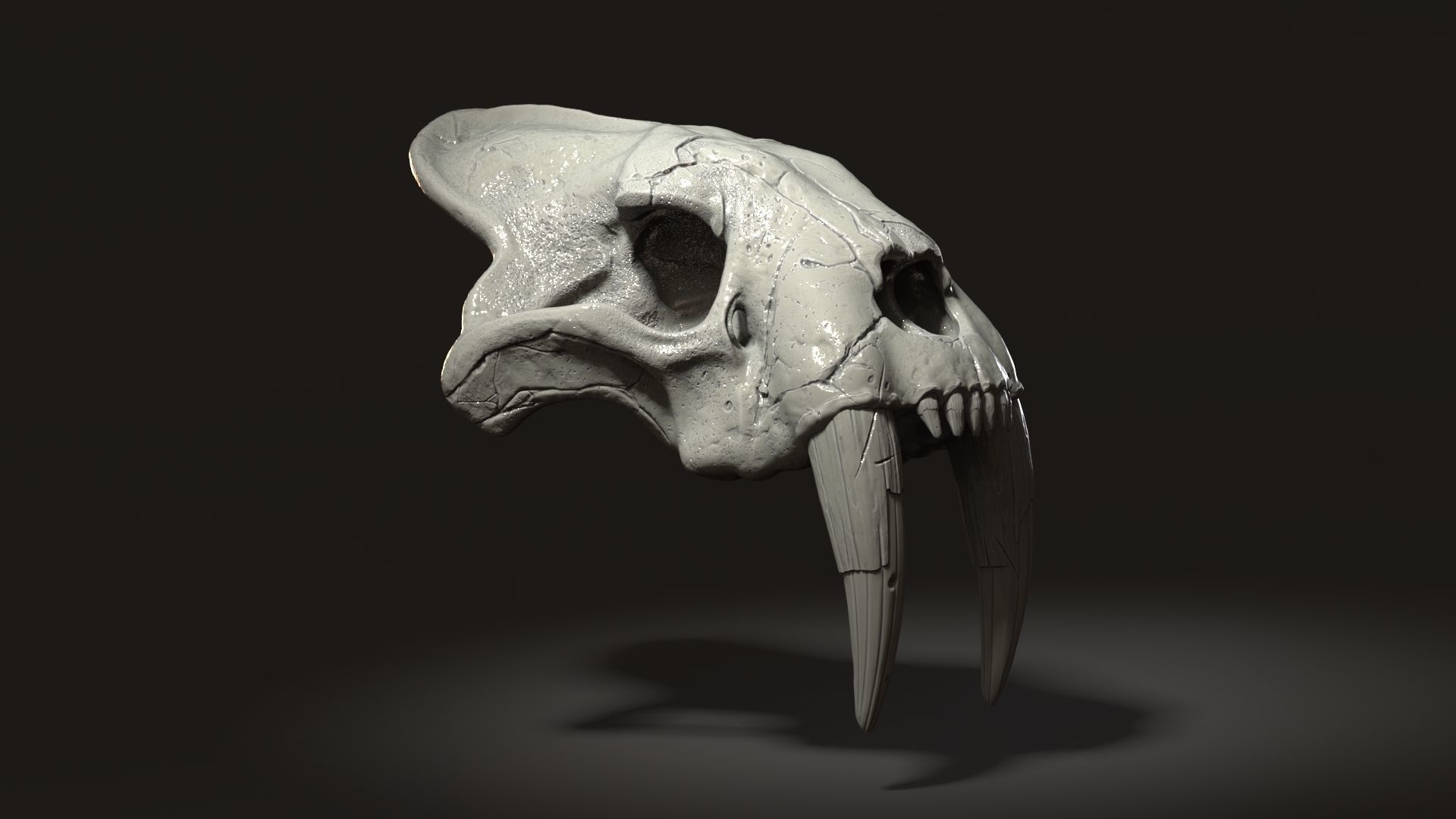 3d Print Skull Sabertooth Cat 3D print model_6