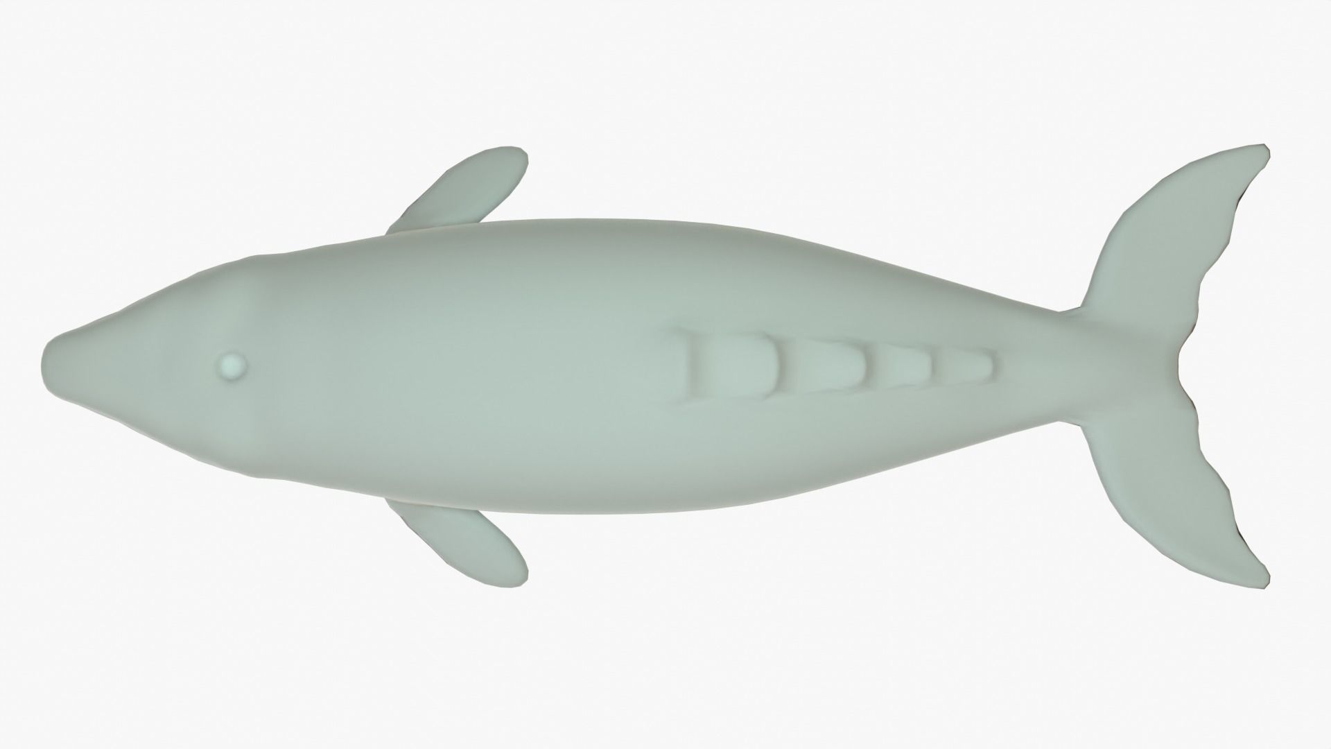 Gray Whale Rigged Basemesh Low-poly 3D model_14