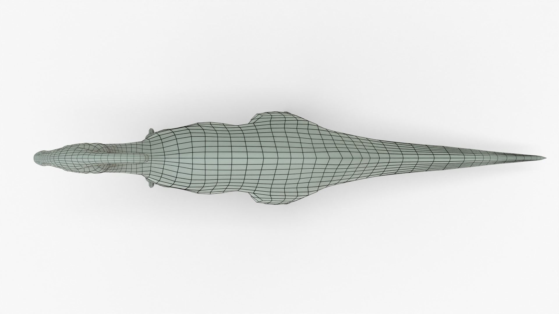 Parasaurolophus Rigged Basemesh Low-poly 3D model_14