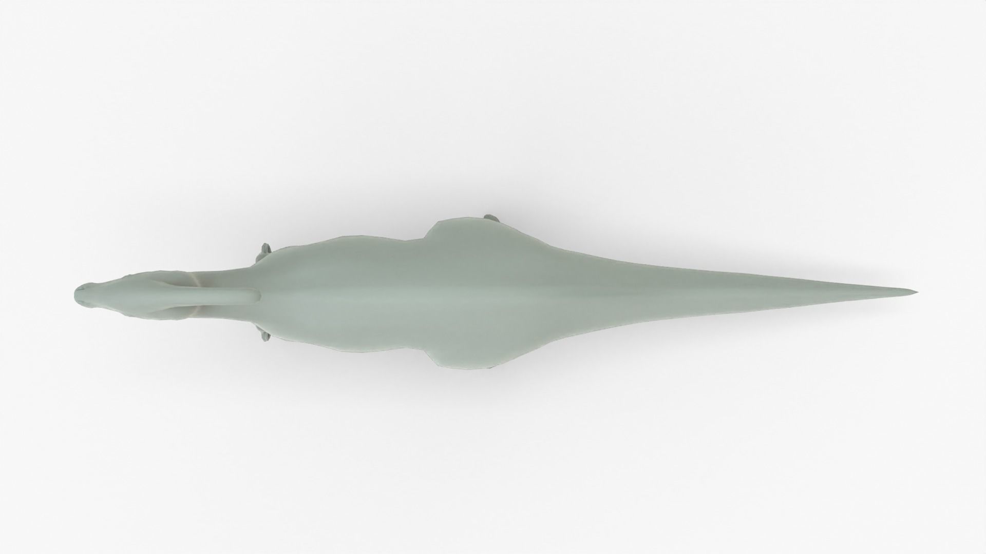 Parasaurolophus Rigged Basemesh Low-poly 3D model_10