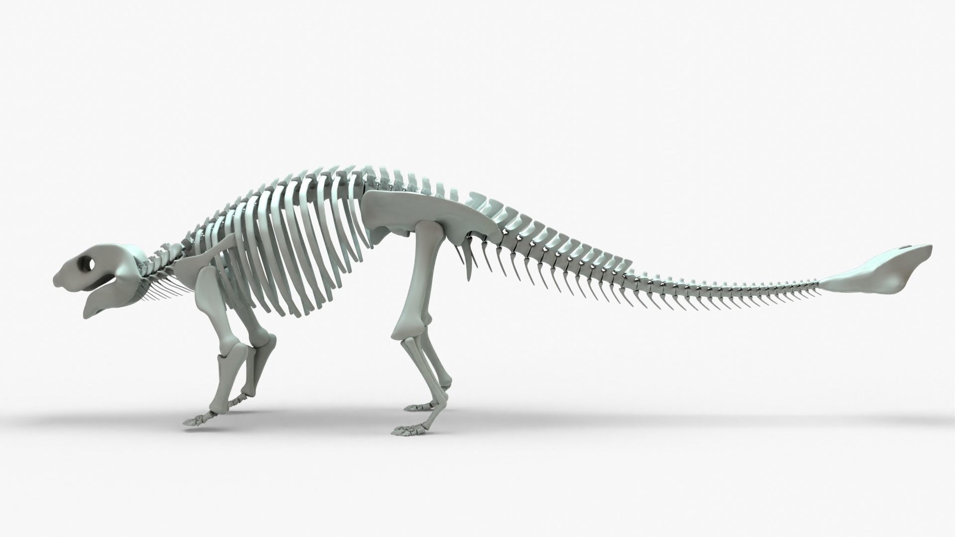 Ankylosaurus Rigged Skeleton Low-poly 3D model_17