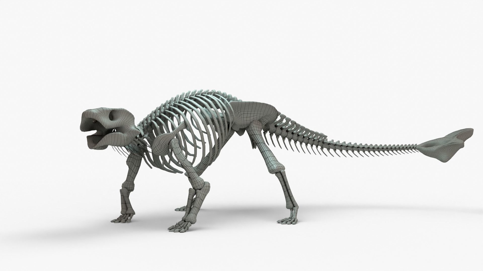 Ankylosaurus Rigged Skeleton Low-poly 3D model_13