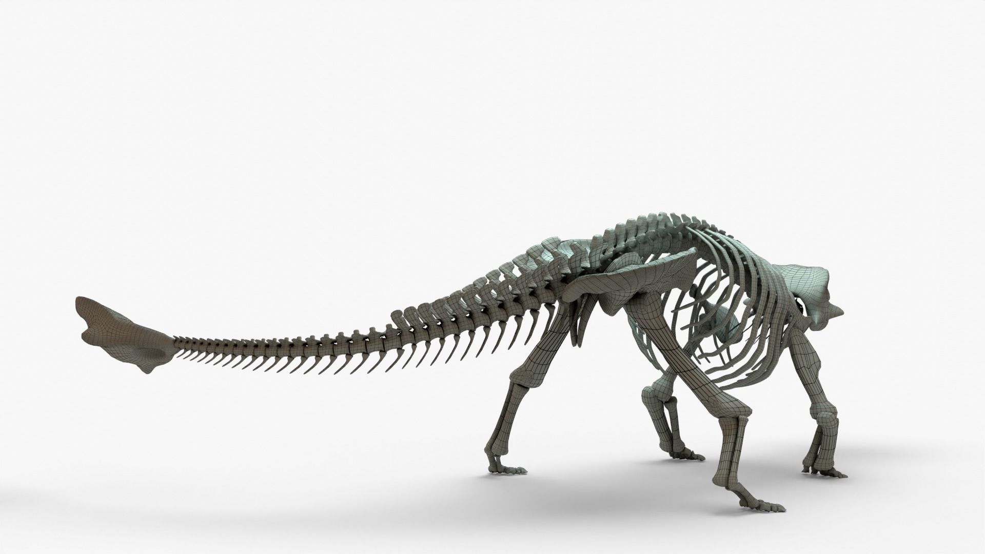 Ankylosaurus Rigged Skeleton Low-poly 3D model_14