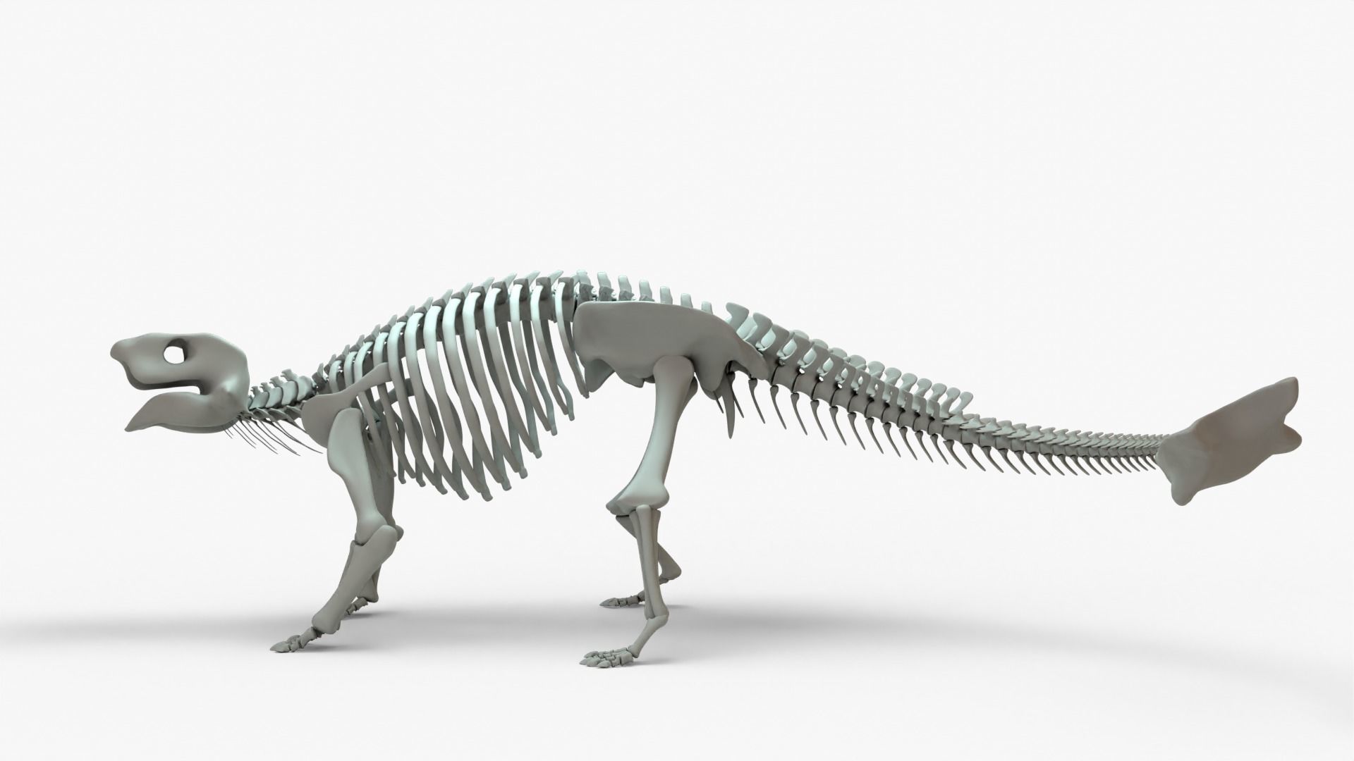 Ankylosaurus Rigged Skeleton Low-poly 3D model_3