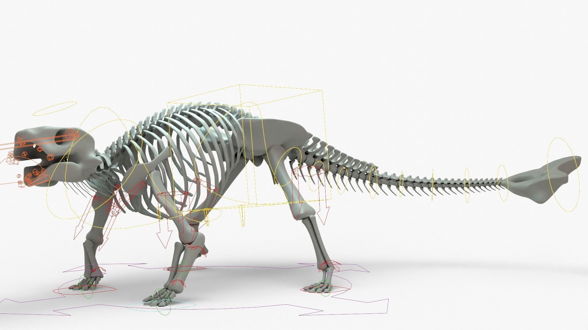 Ankylosaurus Rigged Skeleton Low-poly 3D model_20