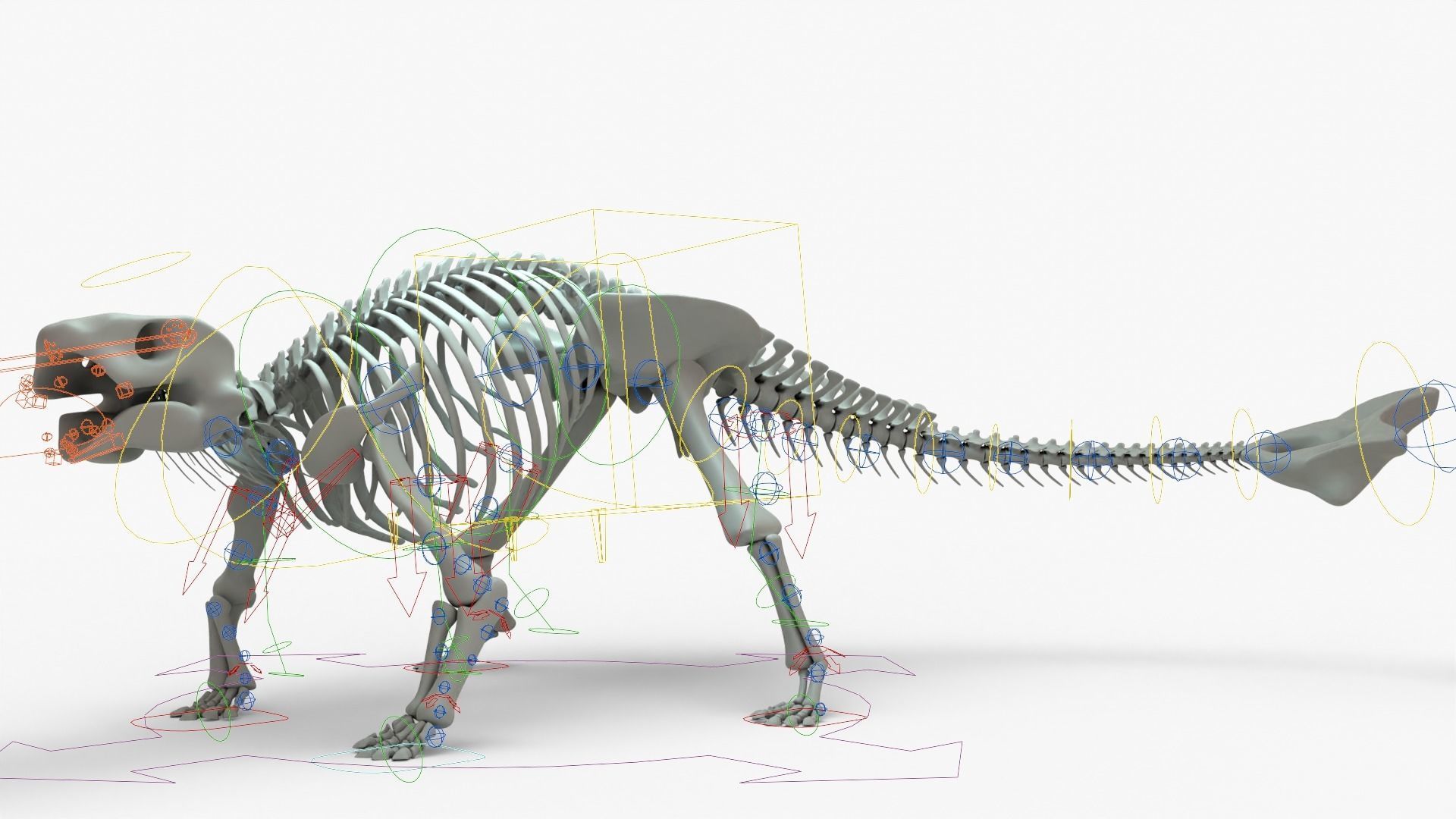 Ankylosaurus Rigged Skeleton Low-poly 3D model_19