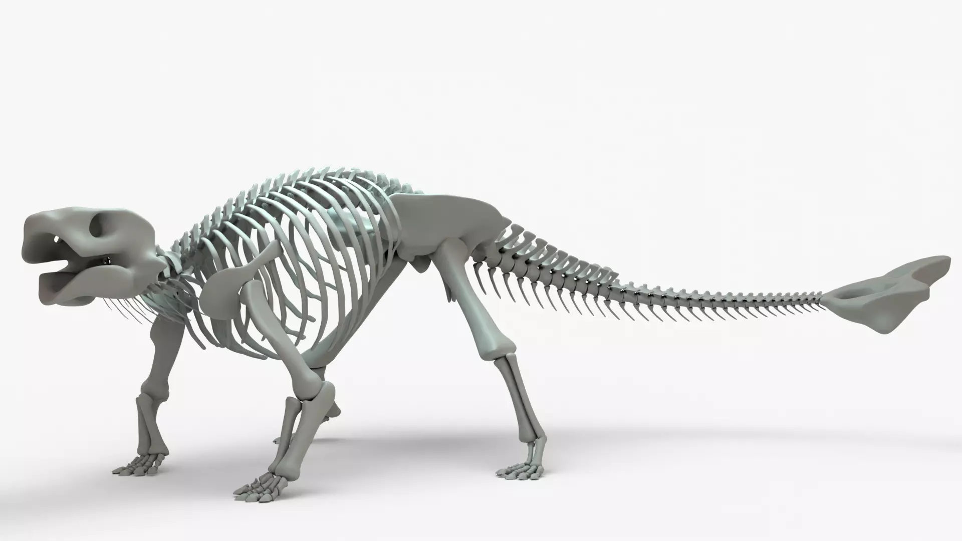 Ankylosaurus Rigged Skeleton Low-poly 3D model_0