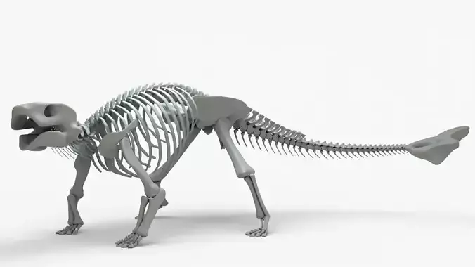 Ankylosaurus Rigged Skeleton Low-poly 3D model