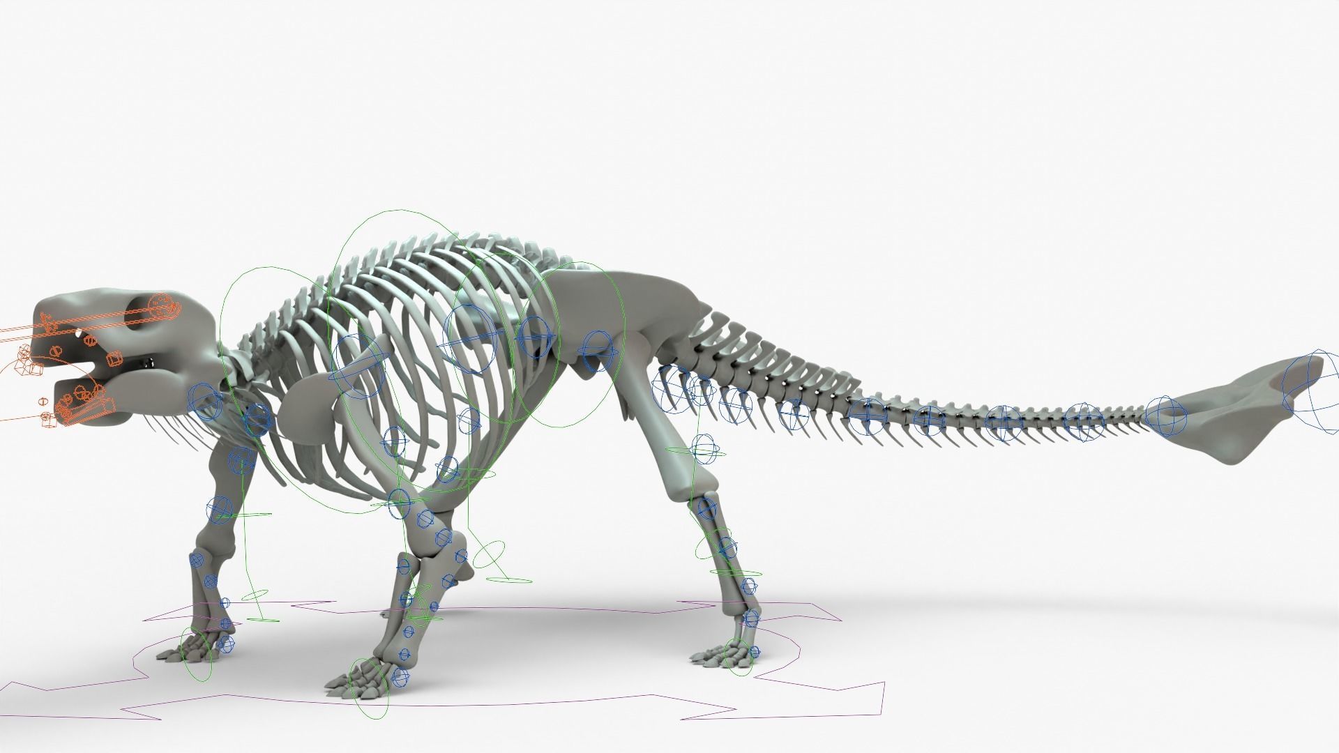 Ankylosaurus Rigged Skeleton Low-poly 3D model_21