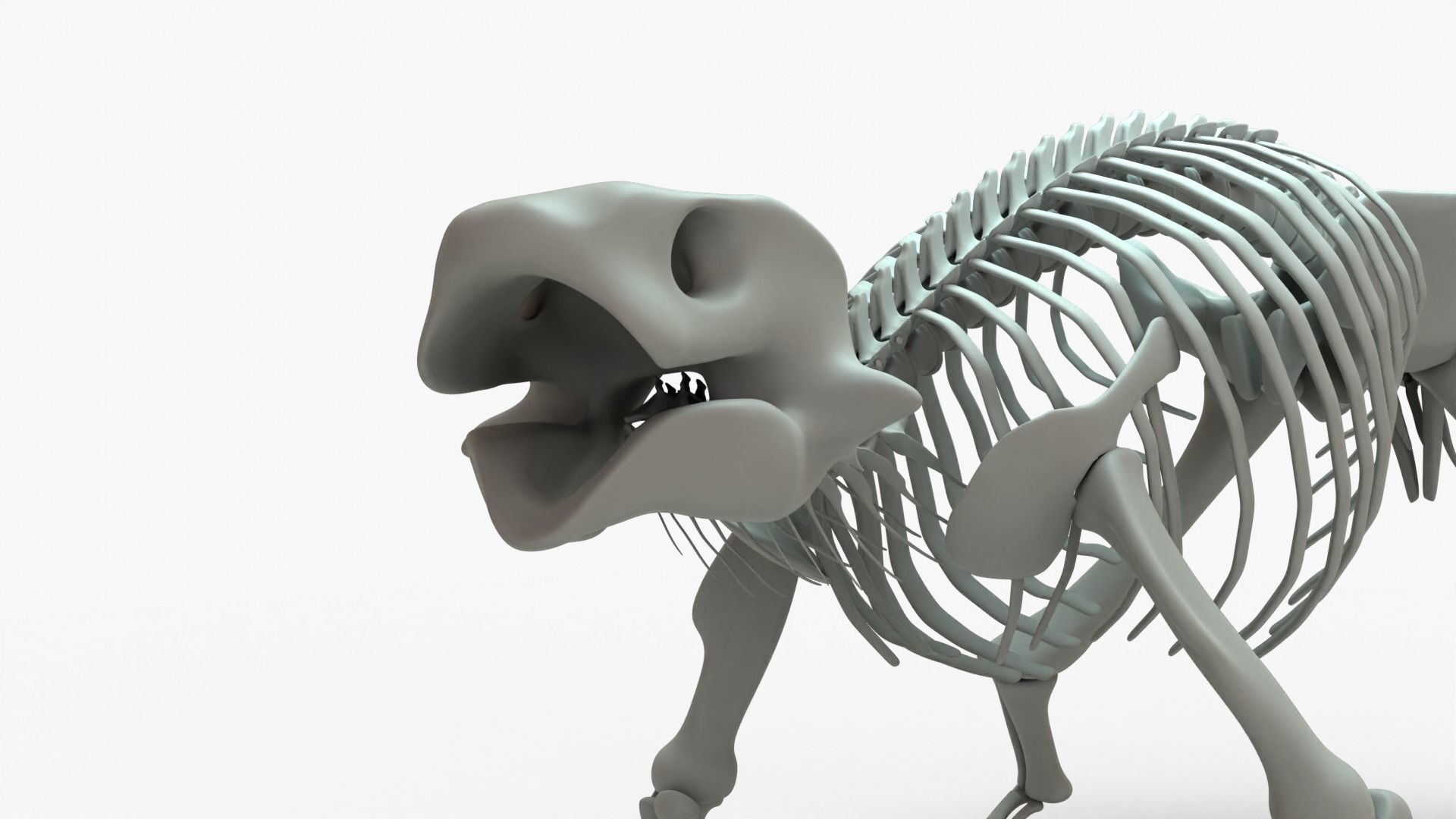 Ankylosaurus Rigged Skeleton Low-poly 3D model_7