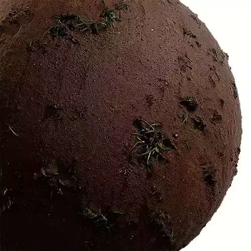 Grass Seamless Texture 2K - EXR 5 - JPG 5 Texture