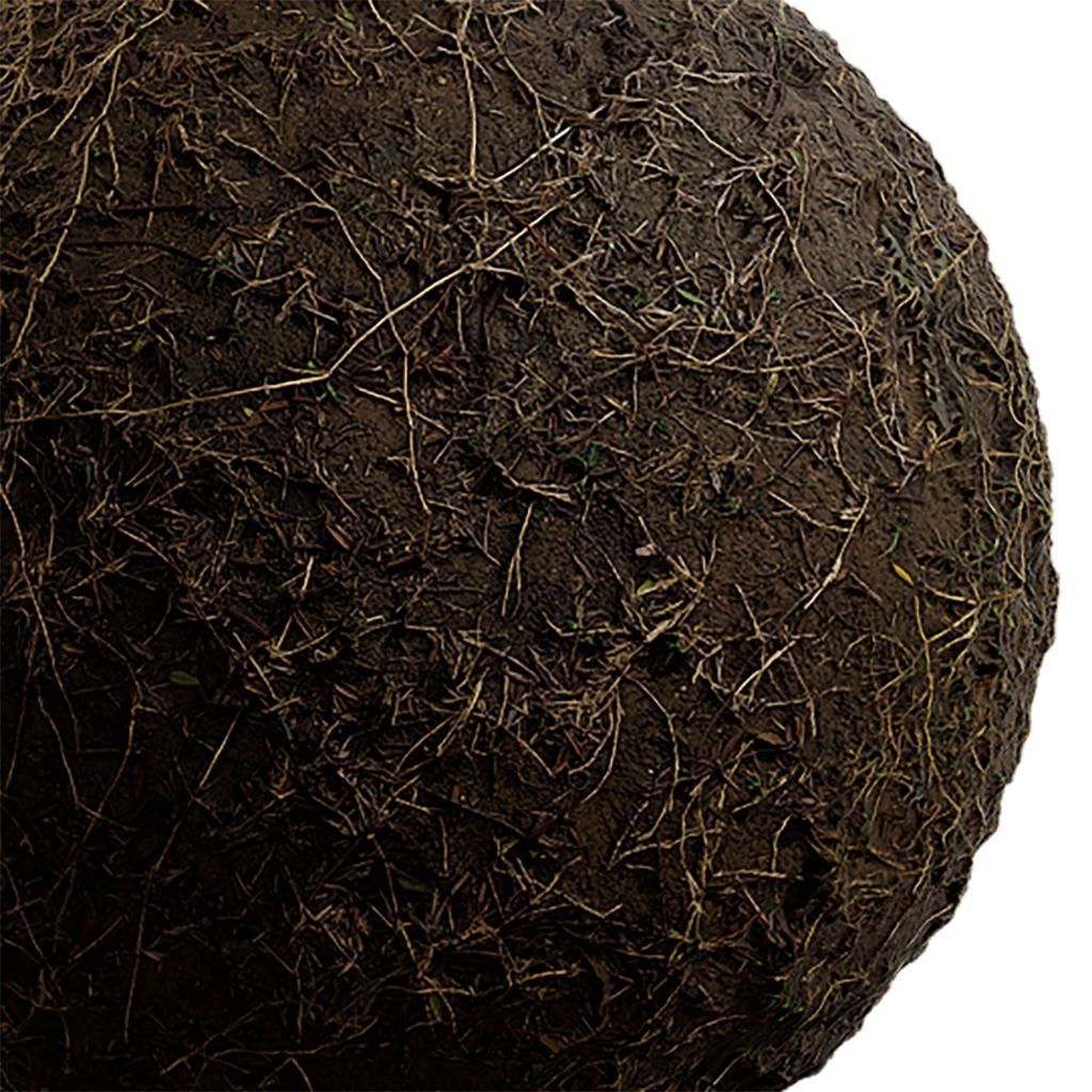Grass Seamless Texture 2K - EXR 5 - JPG 5 Texture Texture_2