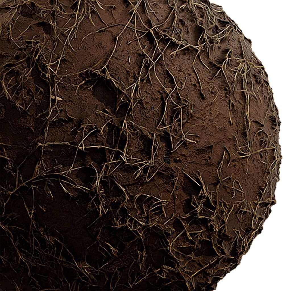 Grass Seamless Texture 2K - EXR 5 - JPG 5 Texture Texture_1