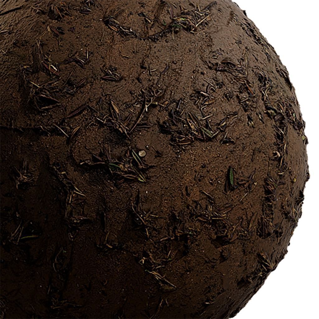 Grass Seamless Texture 2K - EXR 5 - JPG 5 Texture Texture_4