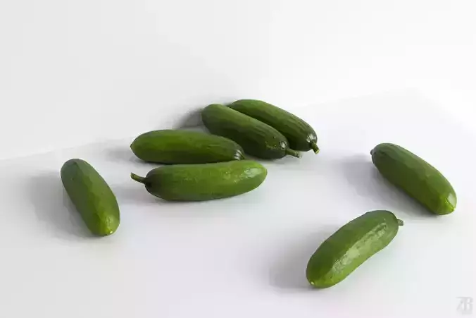 Cucumber 3D model
