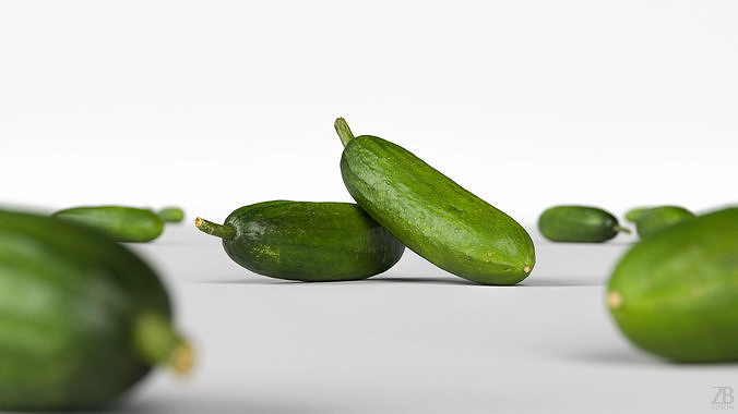 Cucumber 3D model 2